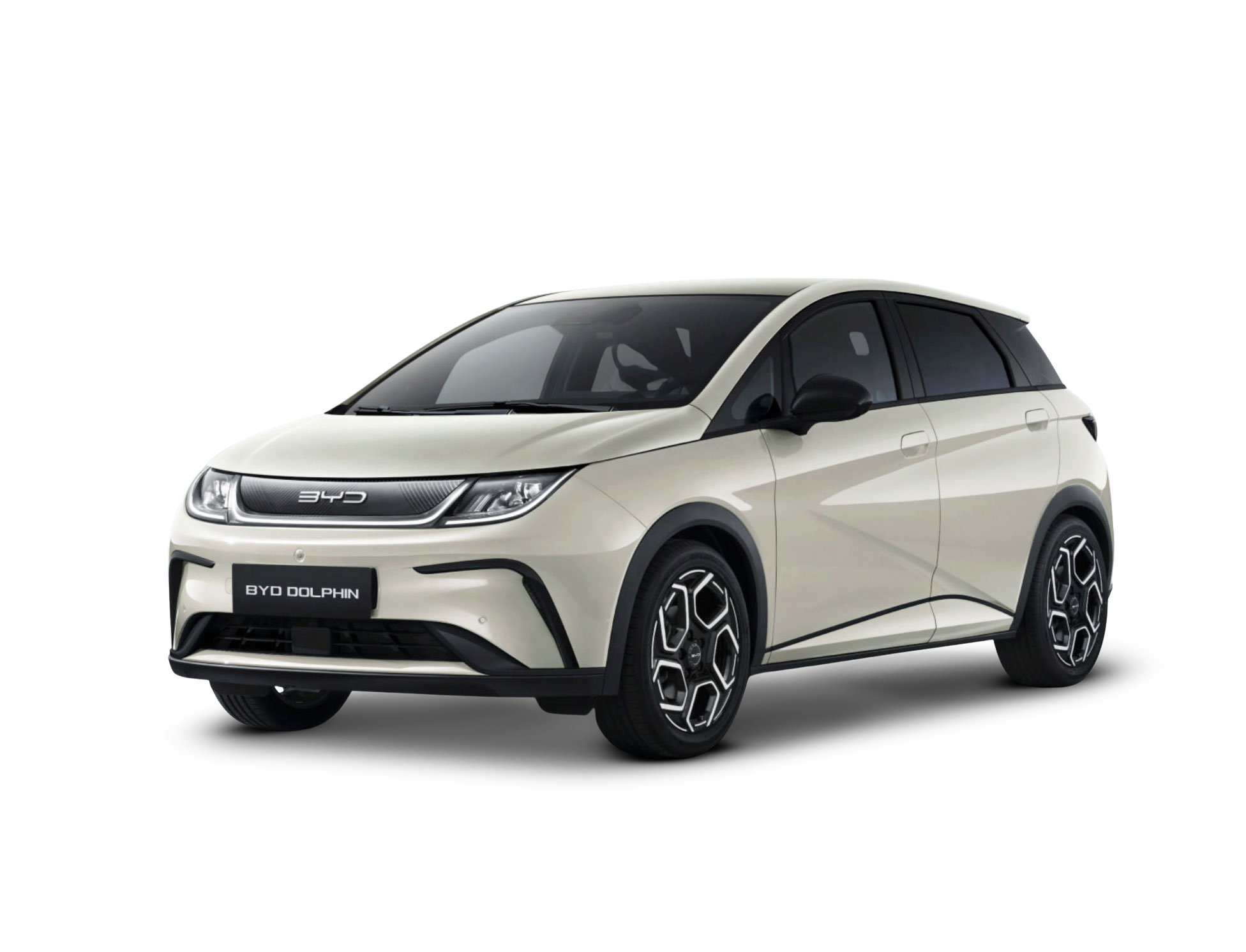 BYD DOLPHIN image